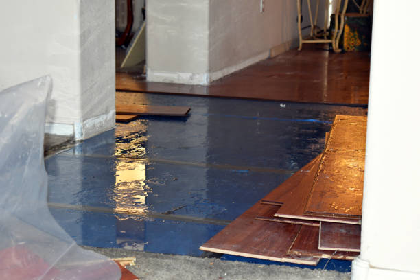 Professional Water Damage Restoration technician working in Riverside, CA